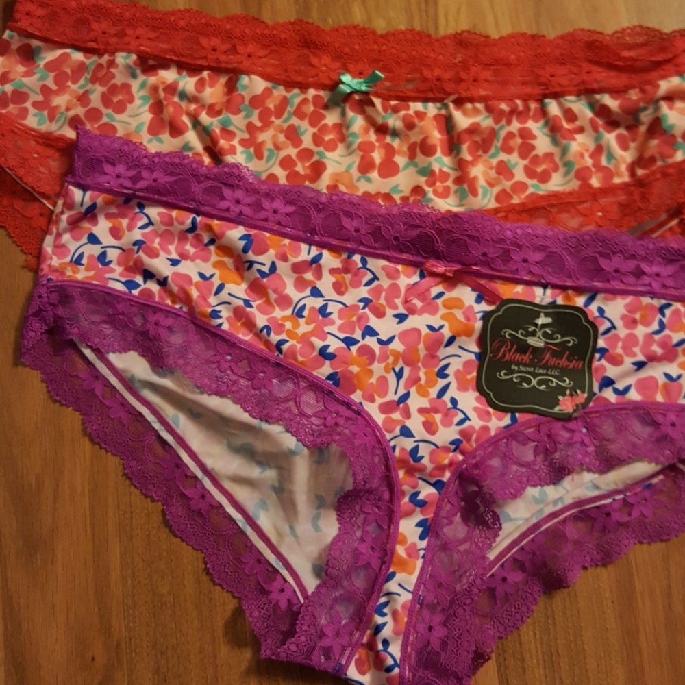 2 plus size hipster briefs polyester